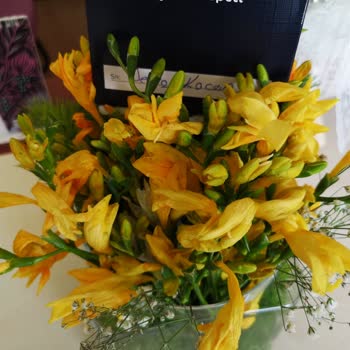 ÇiçekSepeti Canlı Çiçek Beklerken Ölüsü Geldi