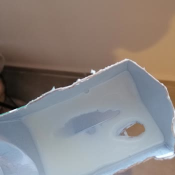 Mis Süt Acaba Gerçekten Süt Mü?