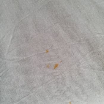 Vestel Çamaşır Makinesi Leke Yapıyor