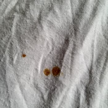 Vestel Çamaşır Makinesi Leke Yapıyor