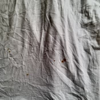 Vestel Çamaşır Makinesi Leke Yapıyor