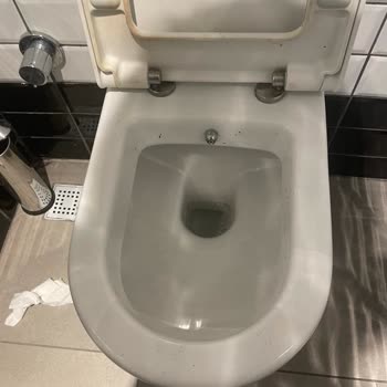 Starbucks Coffee     Tuvalet Temizliği