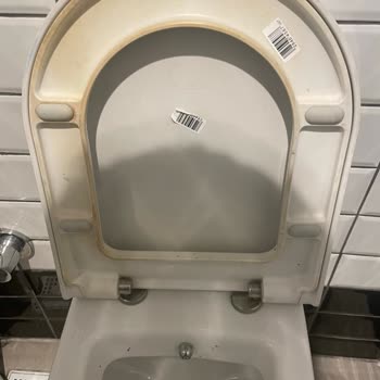 Starbucks Coffee     Tuvalet Temizliği