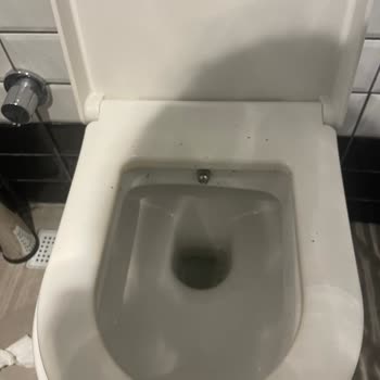 Starbucks Coffee     Tuvalet Temizliği