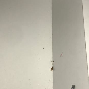 ASM Mobilya Kalitesiz İade Talep Ediyorum