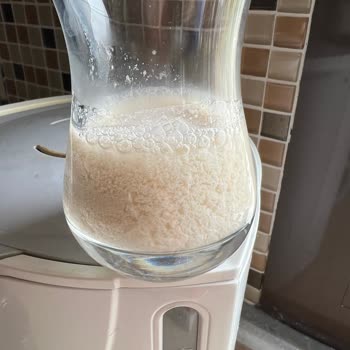 Nilky Kesilmiş, Bozuk Badem Sütü