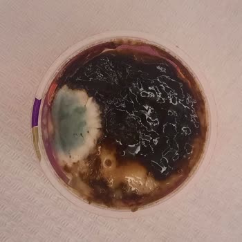 Eker Kazandibi Küflü Çıktı