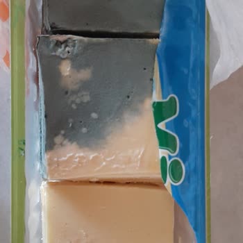 Mis Kaşar Peynirinde Saklama Koşullarına Uyulmasına Rağmen Bozulma