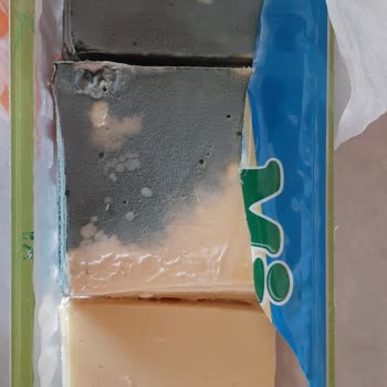 Mis Kaşar Peynirinde Saklama Koşullarına Uyulmasına Rağmen Bozulma