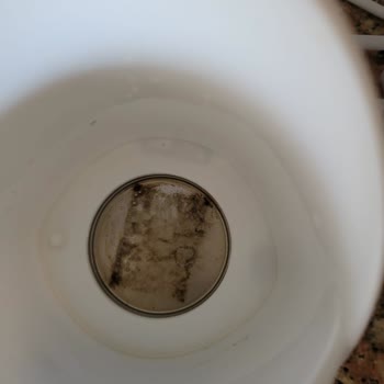 Ebebek Wee Baby 4 İşlevli Biberon Isıtıcı & Sterilizatör