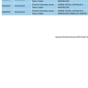 Edirne Sosyal Sigorta Kurumu Emeklilik Servisi Başvuru Süreci!