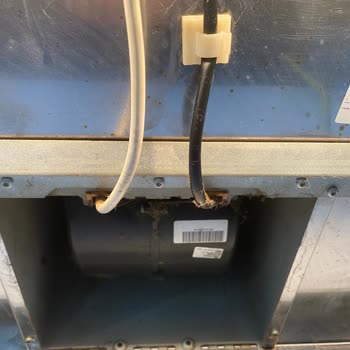 Pastel Temizlik Boş Ev Temizliğinin Bu Halde Olması