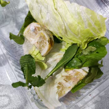 Yakamoz Tantuni Bozuk Küflenmiş Ürün