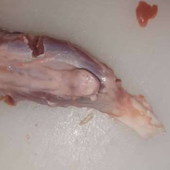 Köfteci Yusuf Hesaplı Kasapta Belgesiz Çalışan Personelin Saygısızlığı