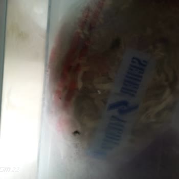 Bosch  Buzdolabı Şikayeti