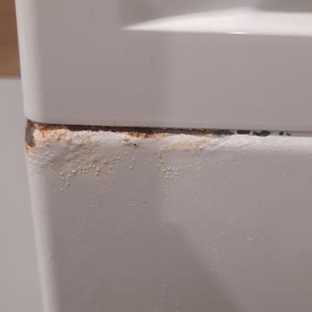 Samsung Paslanma Yapan Çamaşır Makinesi