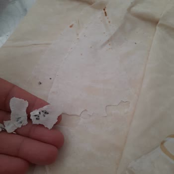 Bim Connex Yufka İçerisindeki Maddeler