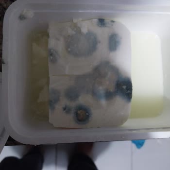 Yörükoğlu Peynir Kullanmadan Bozuldu