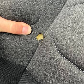 Garenta Koltuk İçin 11500