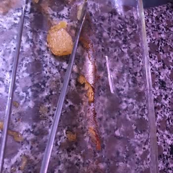 İki Adet Paşabahçe Borcam Fırında Kırıldı