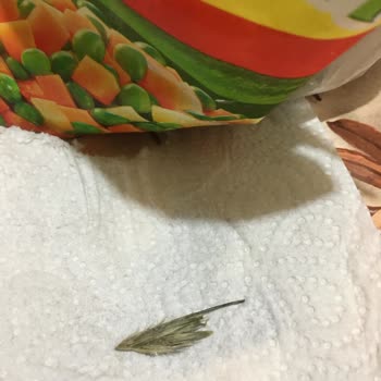 Superfresh Garnitür Mağduriyeti Bakalım Ne Kadar İlgileneceksiniz?