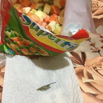 Superfresh Garnitür Mağduriyeti Bakalım Ne Kadar İlgileneceksiniz?