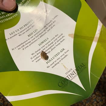 Teymur Continental Hotel Odasında Böcek