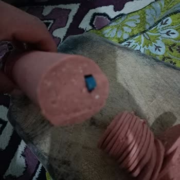 Öznesil Piliç Öznesil Sucukları Cisim Farklı Cisimler