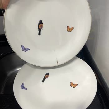 Karaca Züccaciye Karaca Renk Desen Atan Yemek Takımı