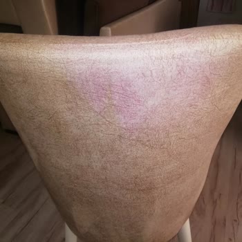 Işık Halı Ve Koltuk Yıkama