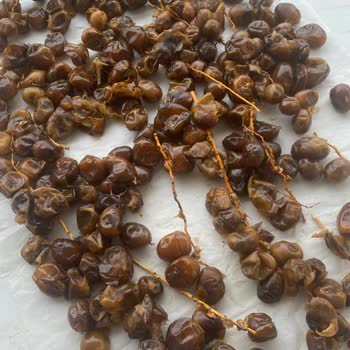 Tazehurma.fun İnternetten Hurma Siparişi