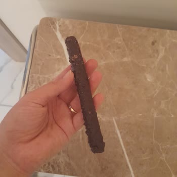 Biscolata Olduğundan Küçük Çıkıyor 1 Tanesi