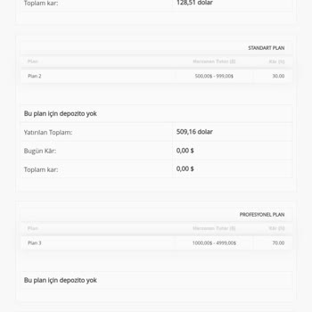 Crg-investec.org Yatırım Şirketi Paramı İade Etmiyor