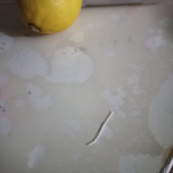 BİM Ekmekte Tel Çıktı