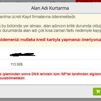 Natro Hosting Alan Adı Kurtarma Bedeli