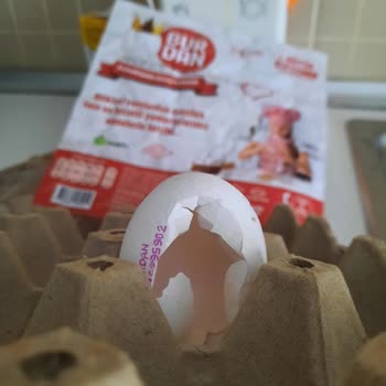 Burdan Süt Ve Süt Ürünleri Yumurtanın İçi Boş