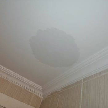 Makro Sy Sigorta Ekspertiz Şirketinin Dosyayı İşleme Koymaması