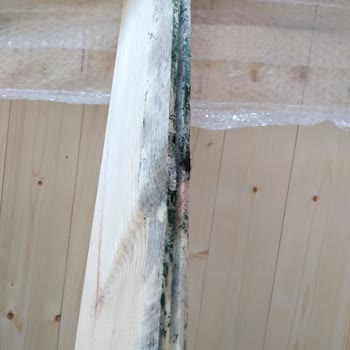 LSK Yapısal Ahşap Lsk Yapı, Reklamına Dikkat