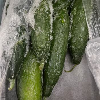 Franke Fridge Multiple Problems and Poor Customer Service