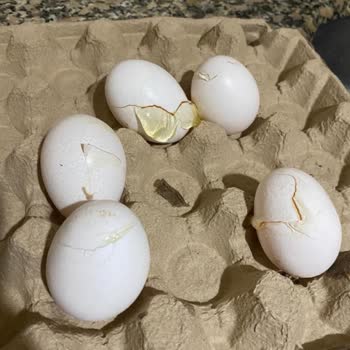 Mopaş Hipermarket Market İlgisizliği