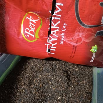 Berk Çay Değilde Çay Çöpü Çıktı