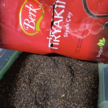 Berk Çay Değilde Çay Çöpü Çıktı