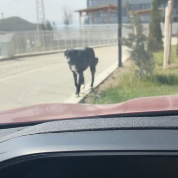 Life312 Profesyonel Yönetim Hizmetleri Aşırı Duyarsız Ve Rahat