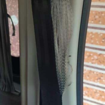 Fiat Ducato Minibüs Şanzıman Ötüyor