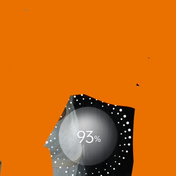 Oppo Yan Ürün Şarj Cihazı