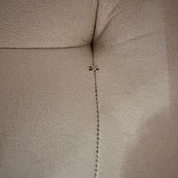 Titanic Mobilya Mı Bir Daha Asla.