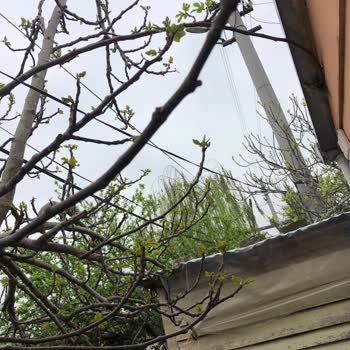 Uludağ Elektrik Dağıtım Evimin Bahçesinde Elektrik Direği Var!