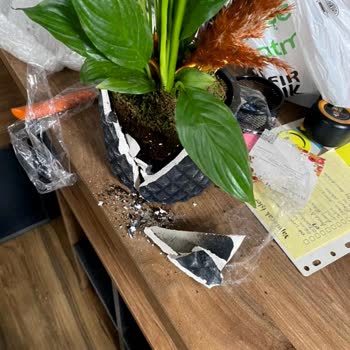 ÇiçekSepeti Koliyle Paramparça Çiçek Gönderiliyor Artık!