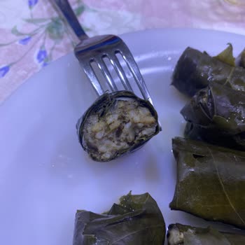 Yurt Konserve Dolma Konservesi Taş Gibi