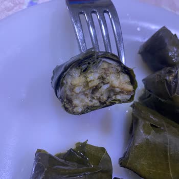 Yurt Konserve Dolma Konservesi Taş Gibi